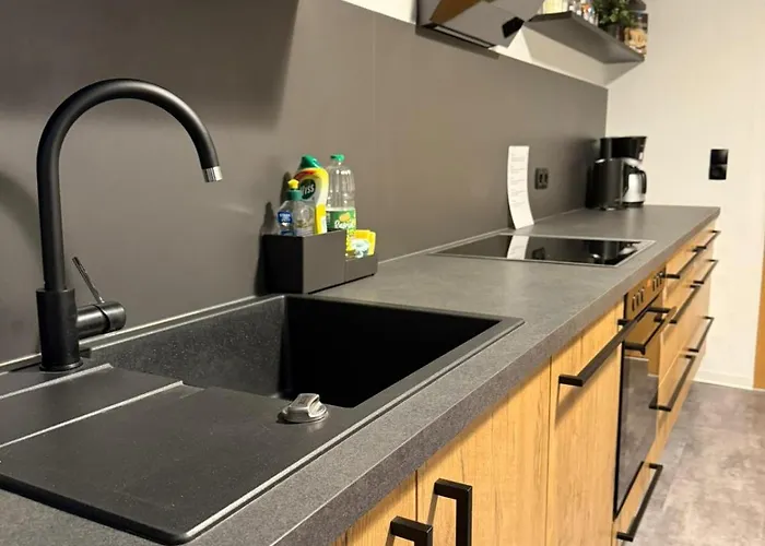 In アパート ドレスデン